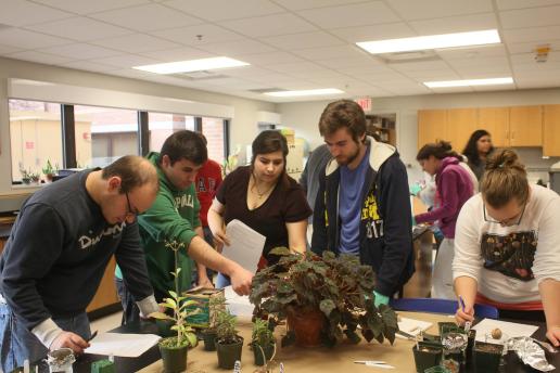 Natural Science students working with plants