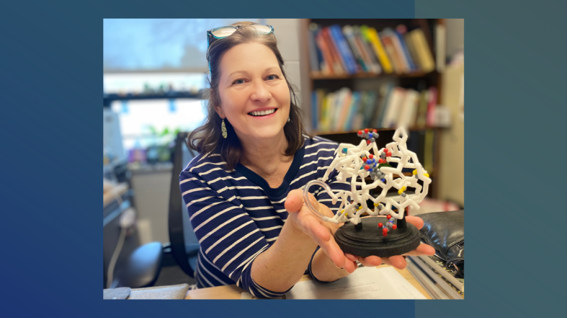 Photo of Professor Marilee Benore holding a 3D model of a protein structure. Photo/Sarah Tuxbury