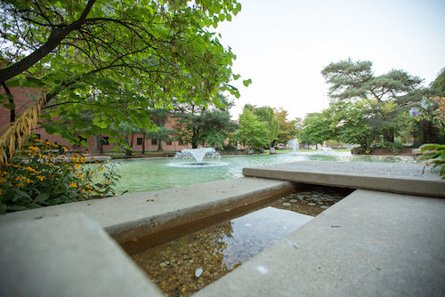  Chancellor's Pond in the summer 