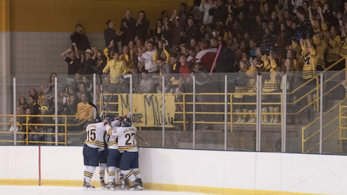  UM-Dearborn Men's Ice Hockey celebrate on ice after shooting a goal.