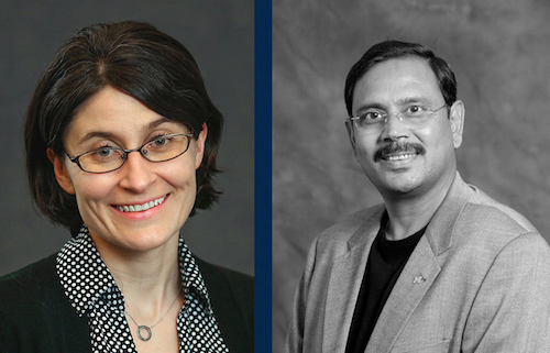  Assistant Professor Kristin Poling and Professor Kamalesh Kumar 