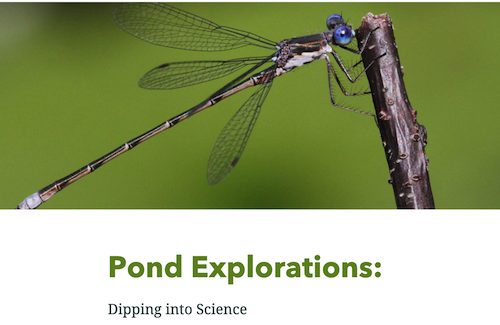 Pond Explorations: Dipping into Science