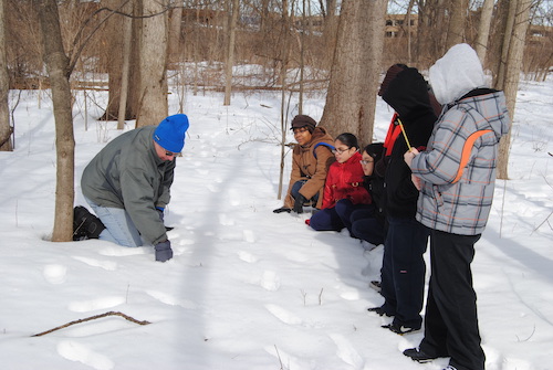 Group of students inspecting animal tracks in the snow.