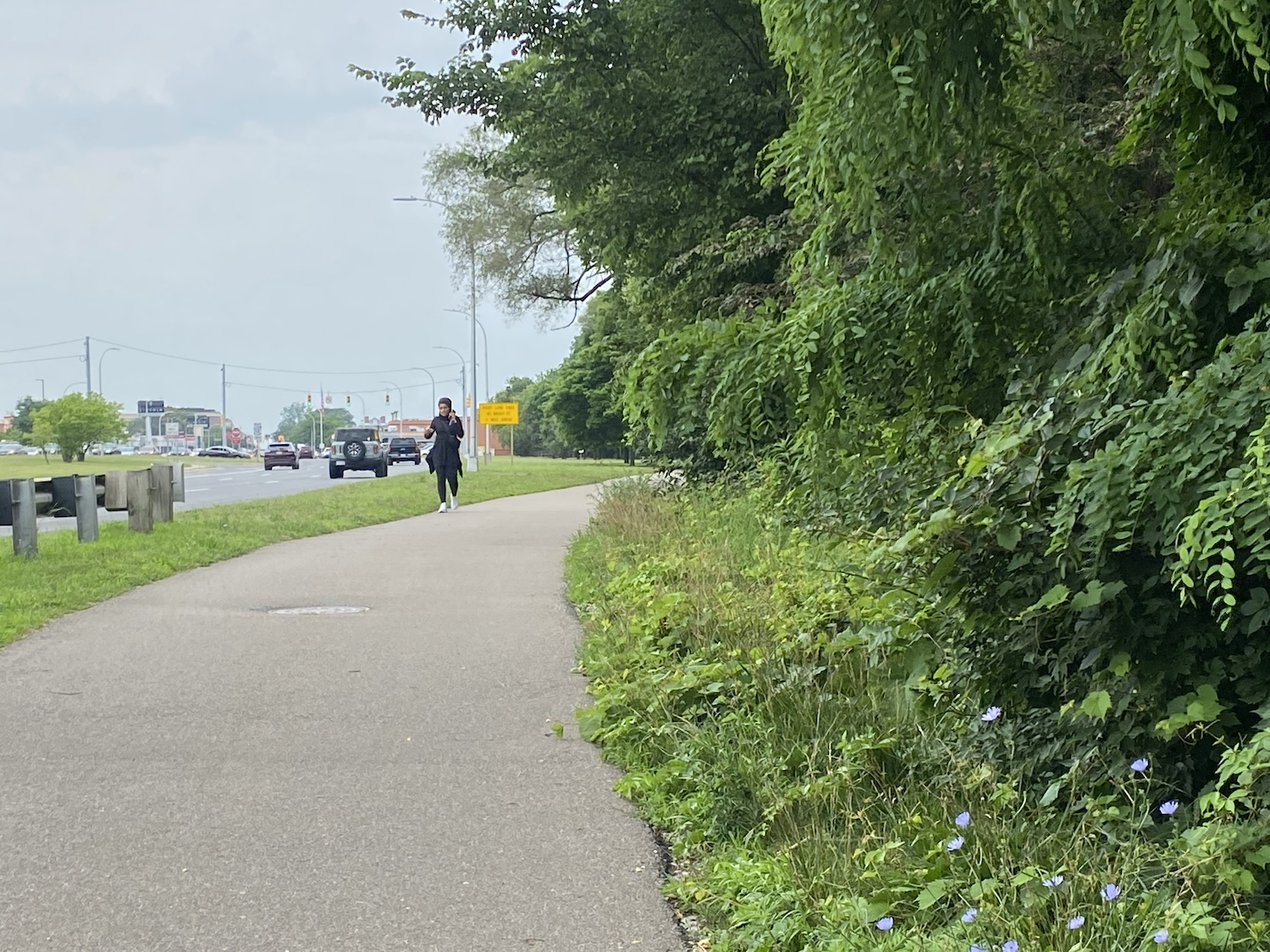 Gateway trail opening to downtown Dearborn