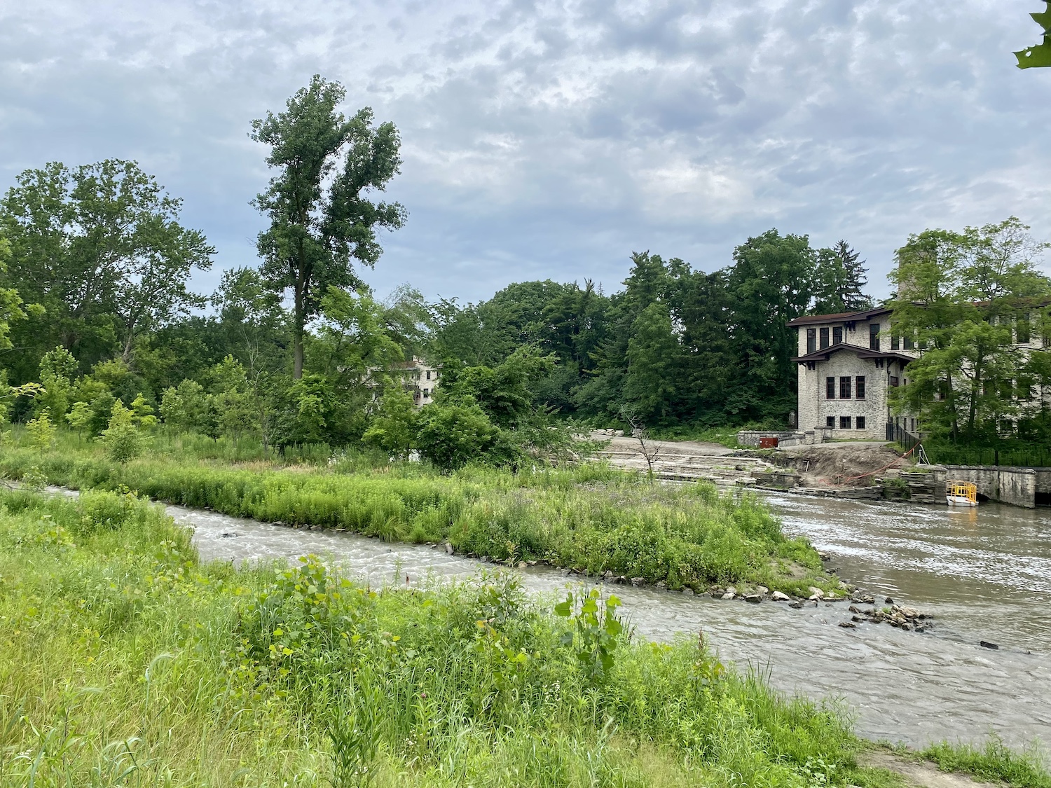 The fish ladder across from the Fair Lane power house