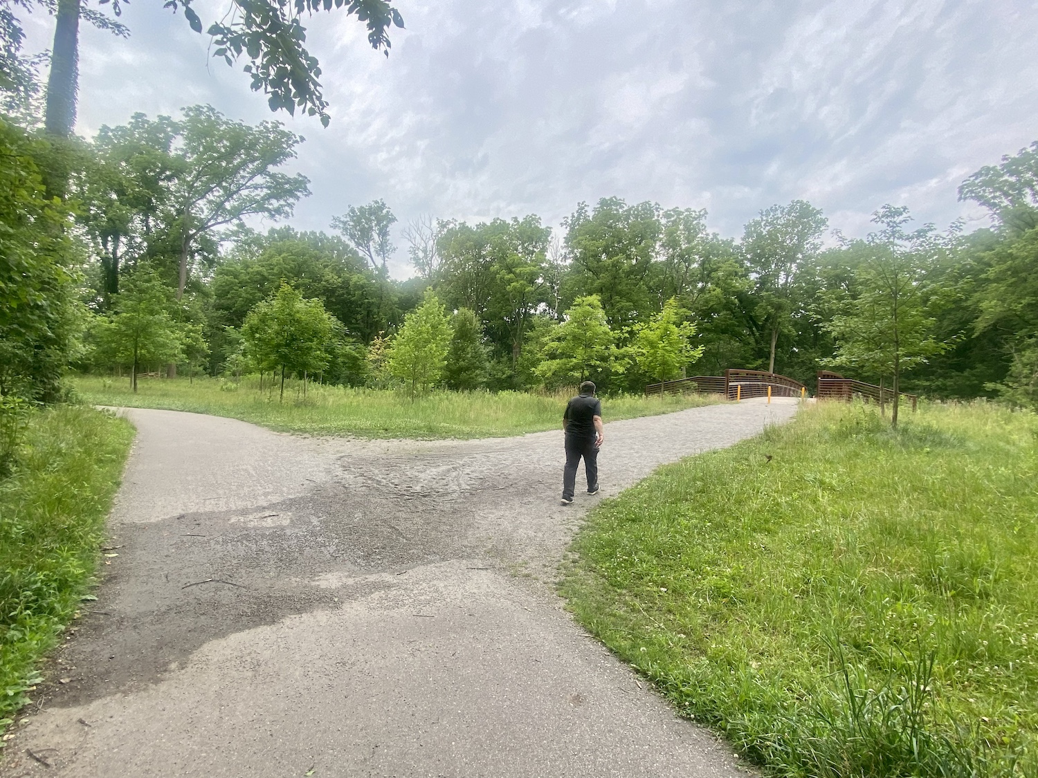 Fork in the road on south Rouge Gateway Trail