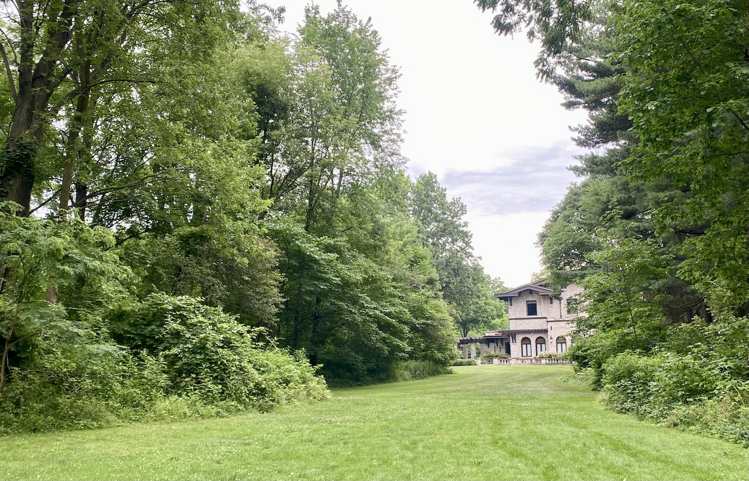 A view from Fair Lane through the meadow