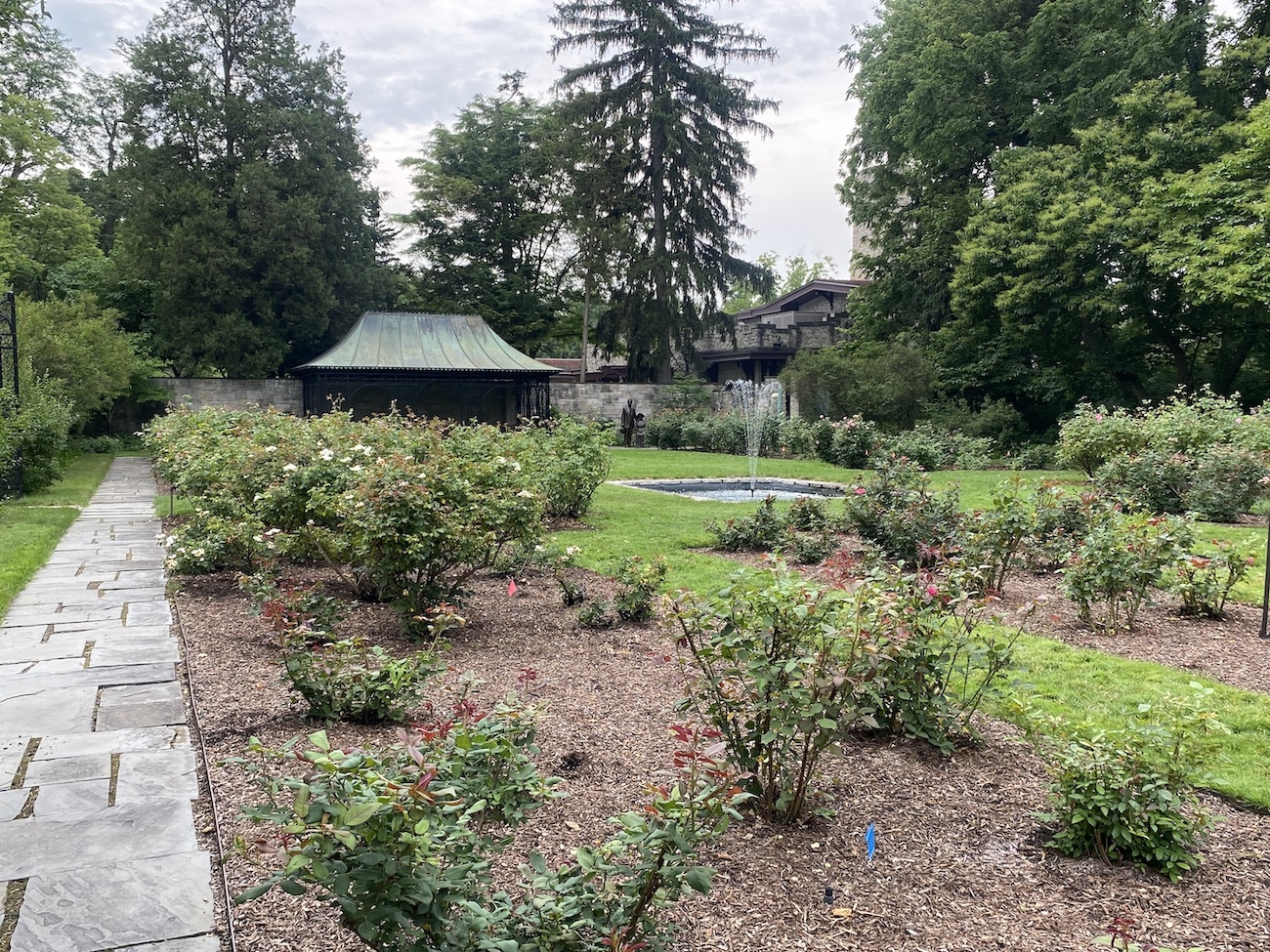 The Fair Lane Rose Garden