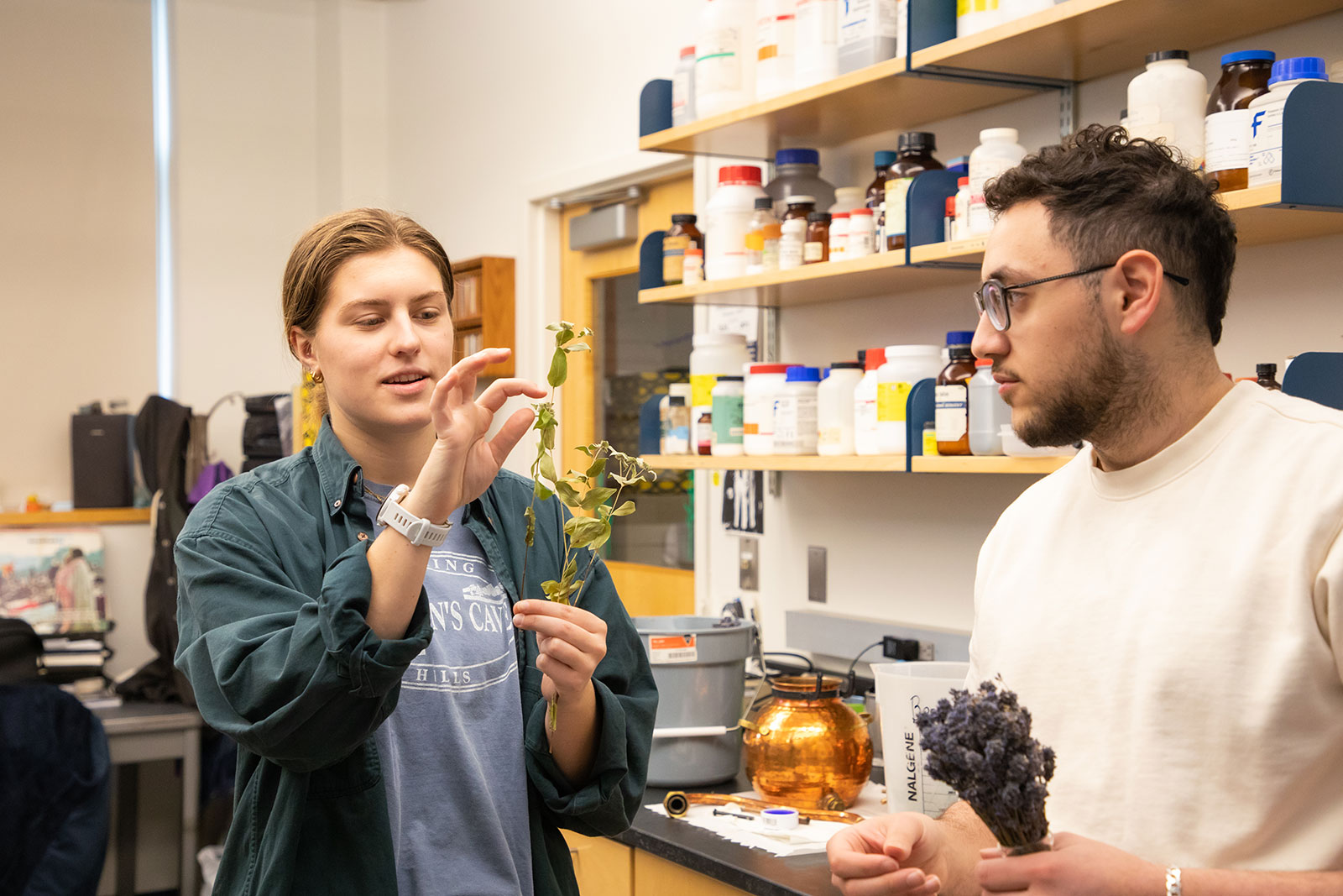 Students working in laboratory