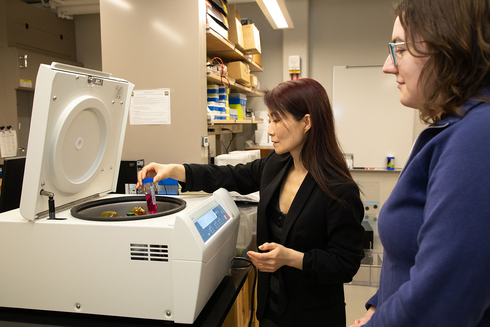 Experiment in the NeuroBiology lab