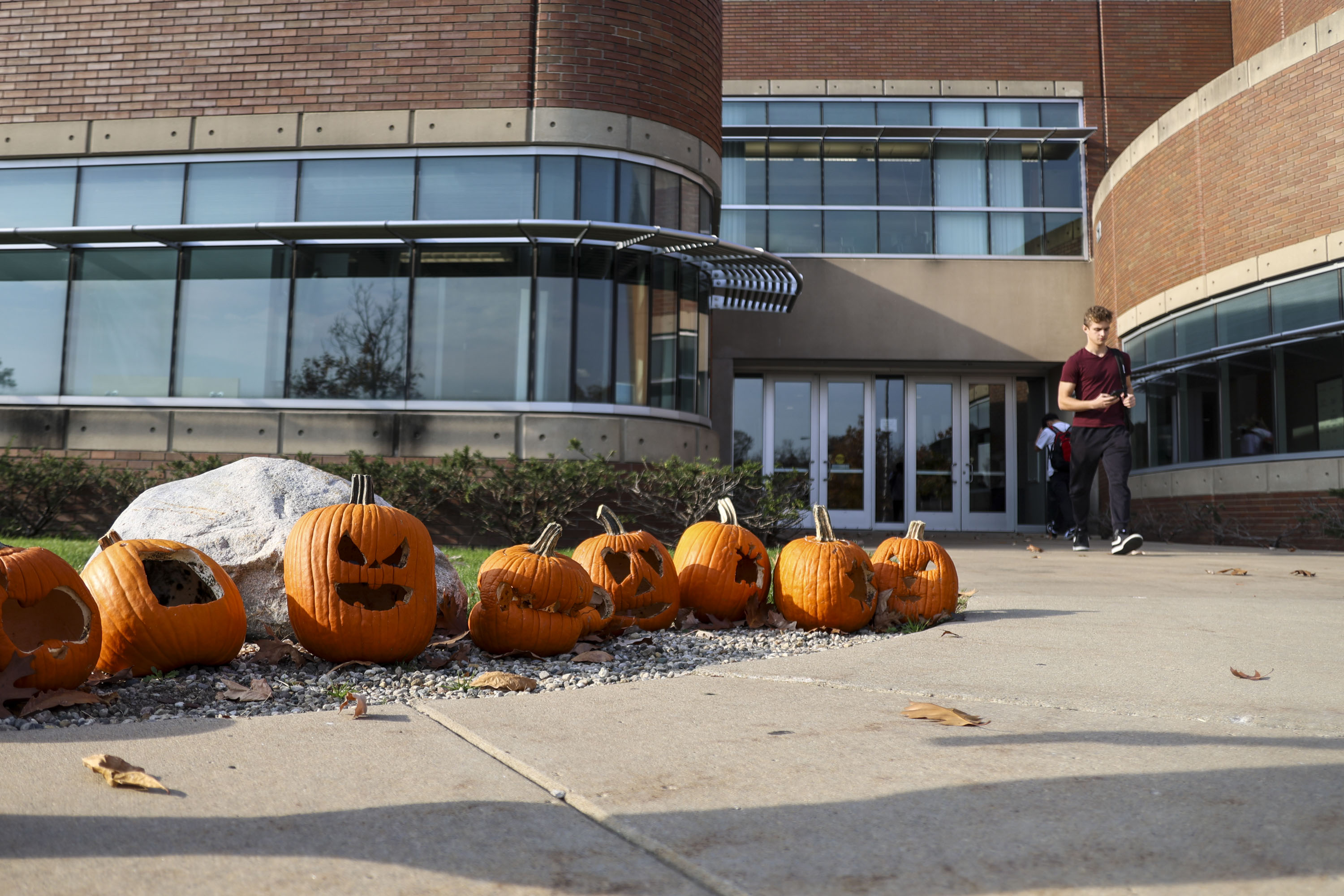 Pumpkins outside of the IAVS