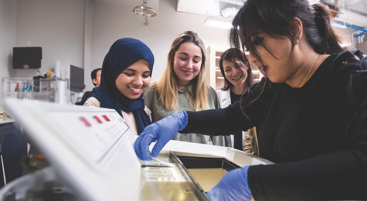 Group of students working together in a lab setting