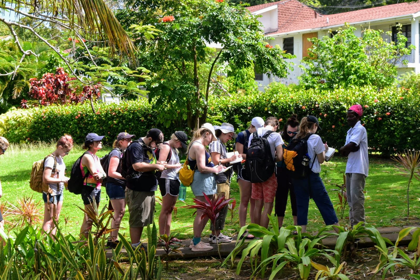 Students participating in a field study program in Montserrat.