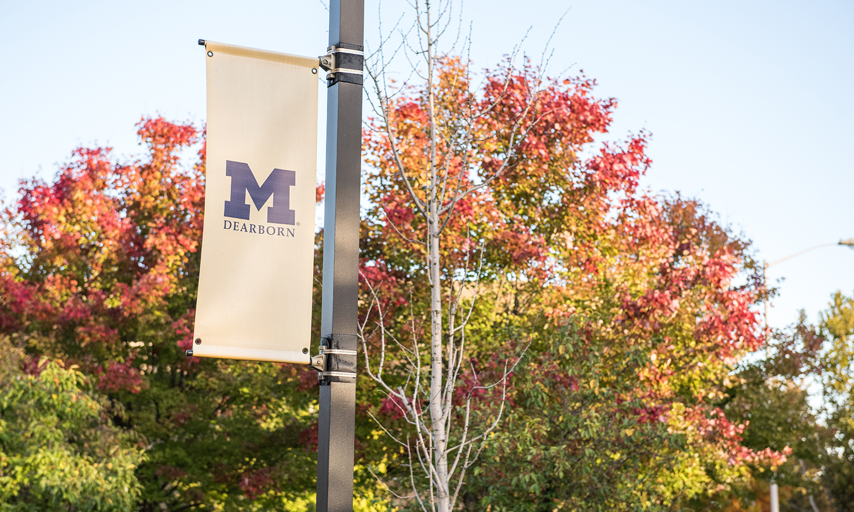 UMDearborn announces plans to enhance campus safety University of MichiganDearborn