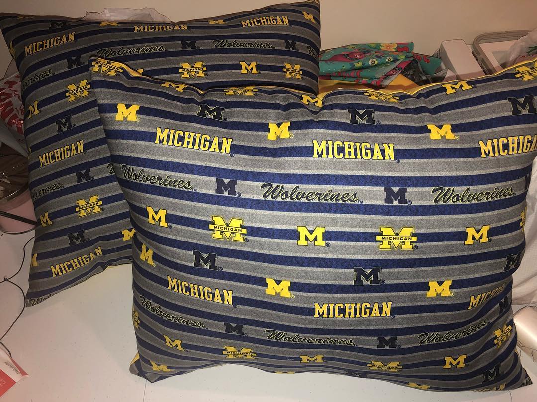 Michigan Pillow