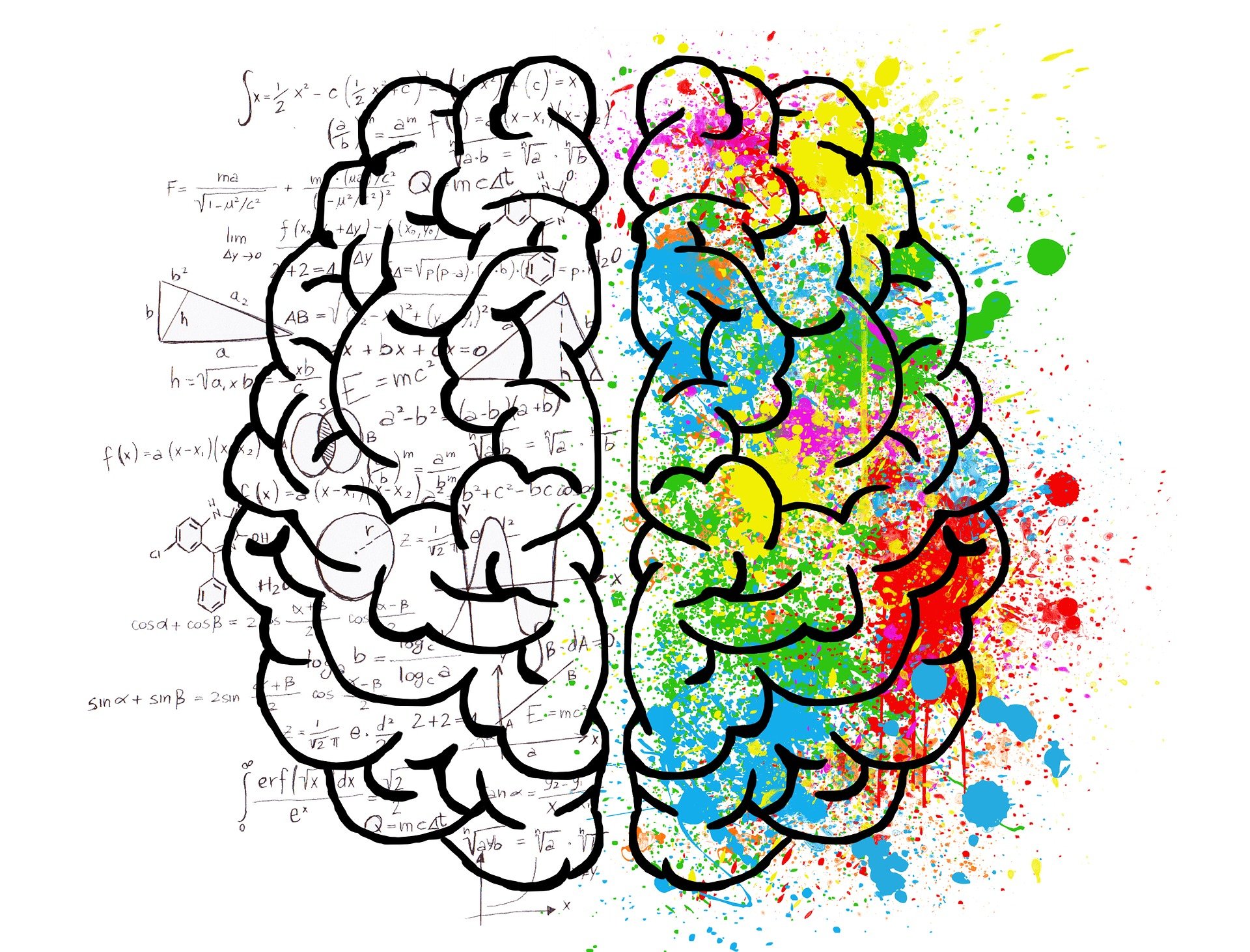Graphic of the brain. The right side is colorful and the left side contains mathematical equations.