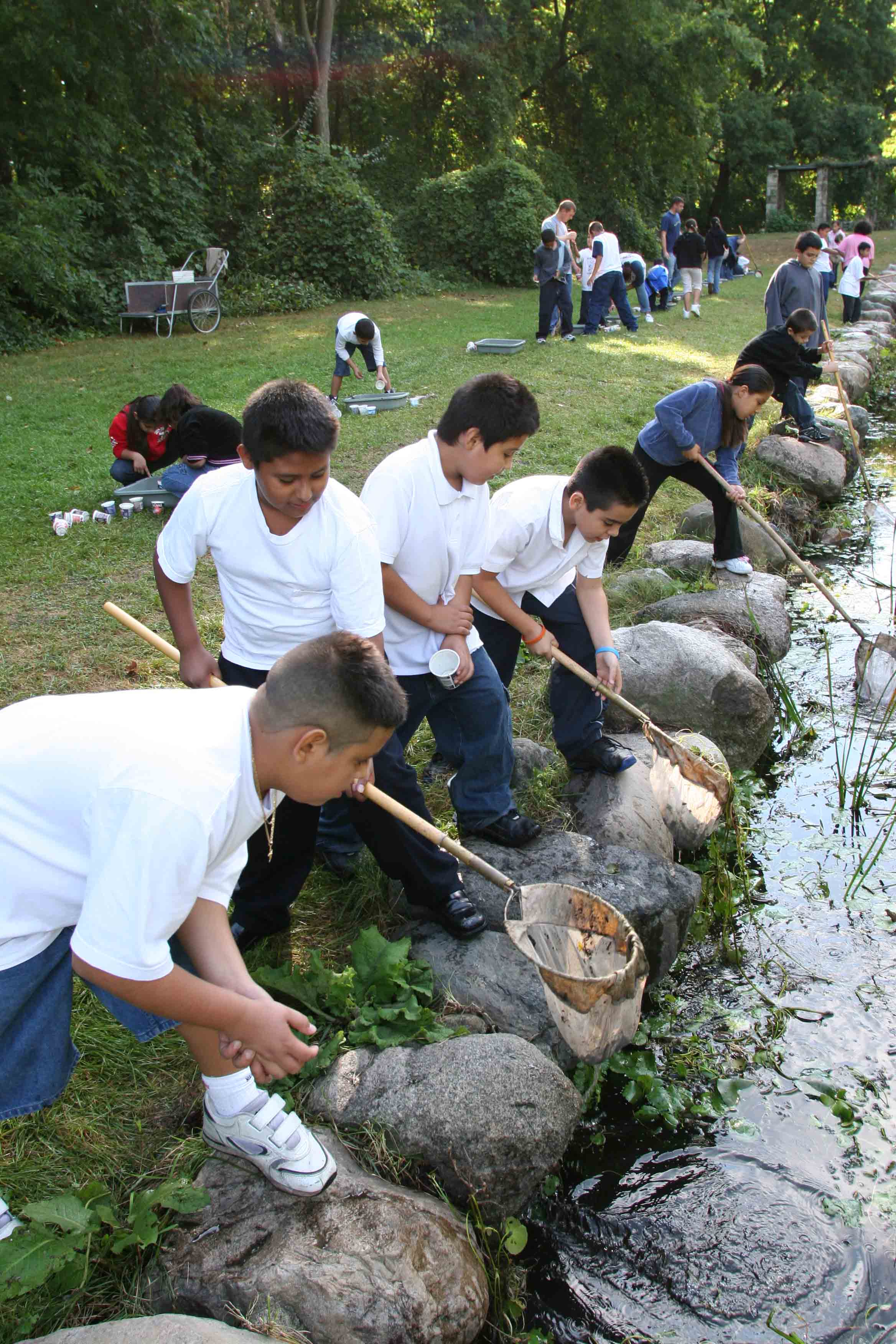 Children using dip nets during pond explorations program.