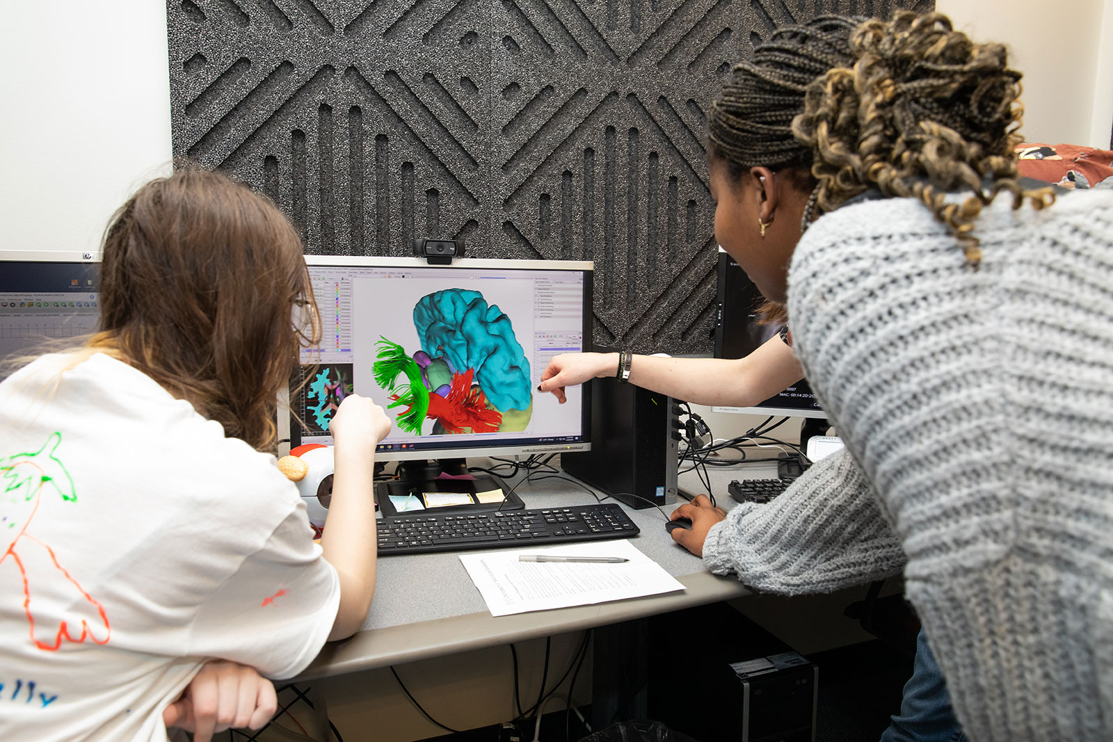 Students study images of the brain