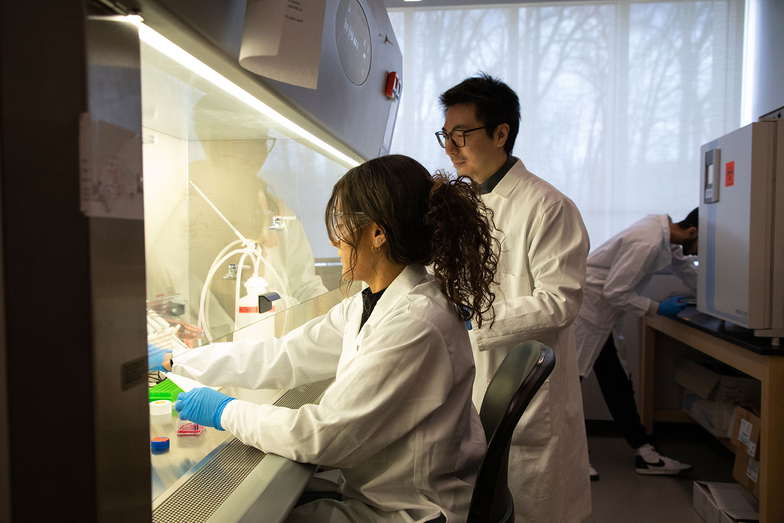 student and professor conduct a biology experiment in the lab