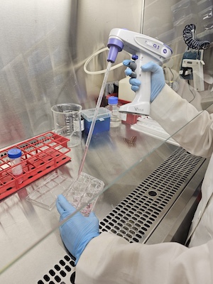 A gloved researcher holds an electronic pipette and dispenses liquid into a clear multi-well plate inside a laboratory biosafety cabinet. A red tube rack, labeled sample tubes, a beaker, and lab supplies sit on the stainless-steel surface, highlighting a sterile research environment.