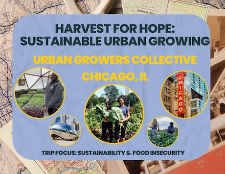 Harvest for Hope: Sustainable Urban Growing. Urban Growers Collective in Chicago, IL. Trip Focus: Sustainability and Food Insecurity