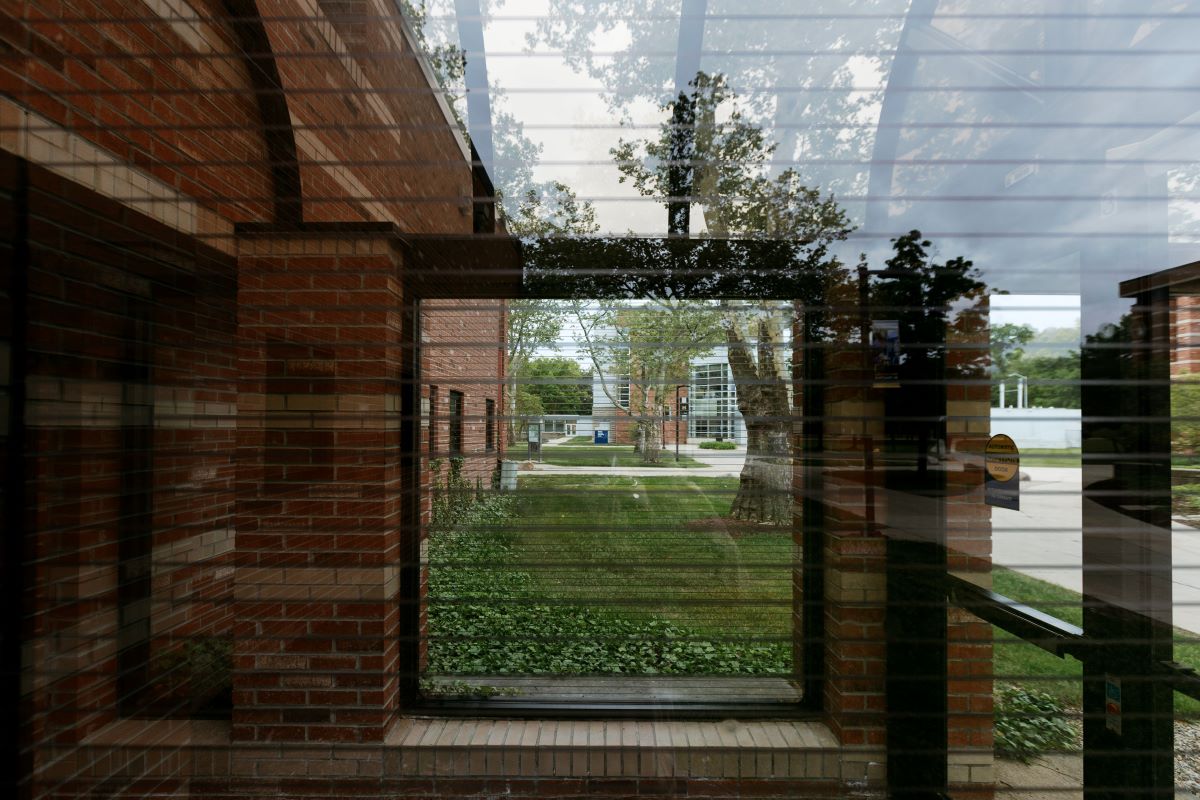 Horizontal lines from a bird collision deterrent film cover a reflective window. Through the window, brick walls, trees, grass, and nearby campus buildings are visible.  