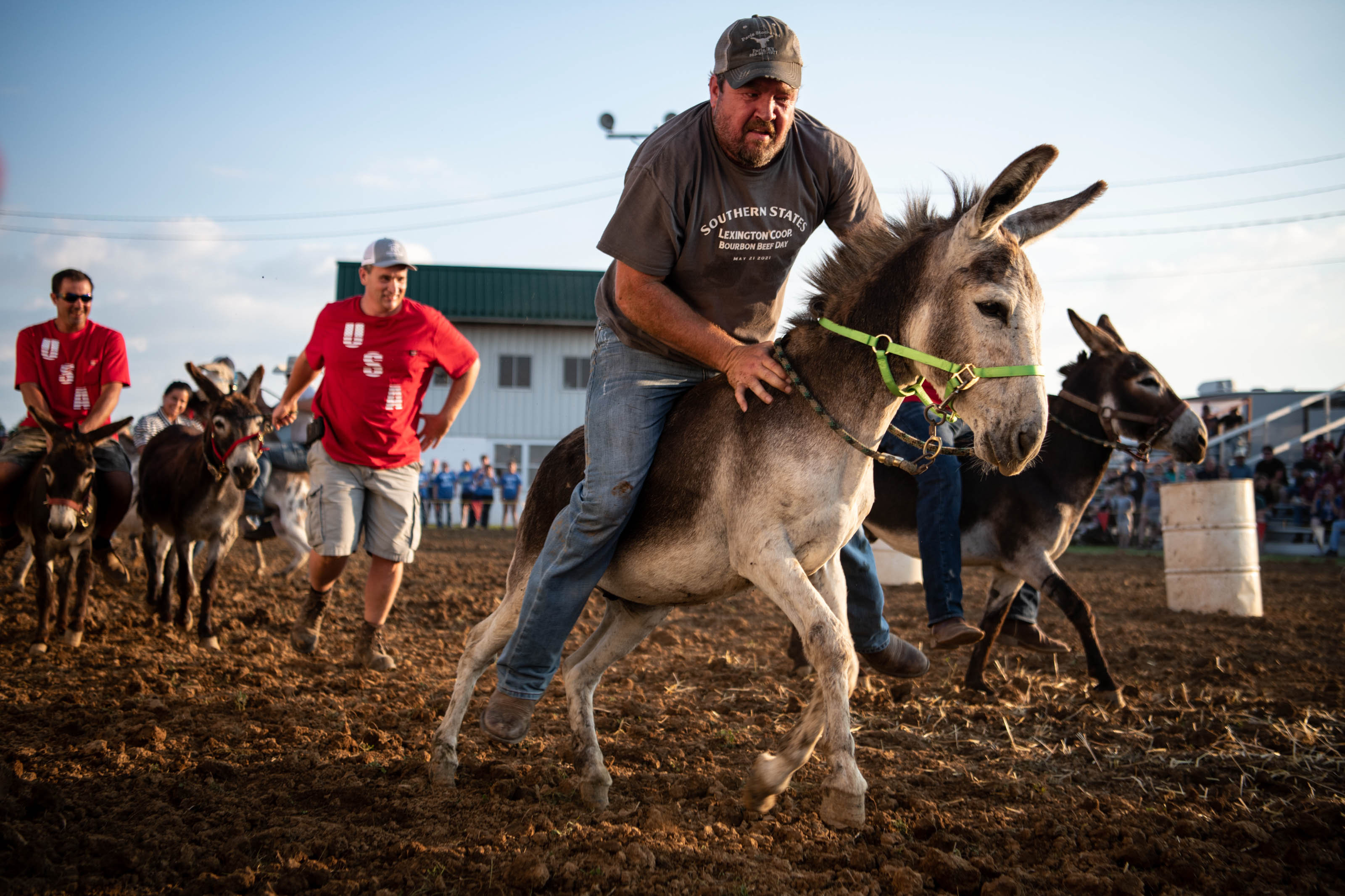 At a rodeo, a middle aged man rides a donkey that looks too small for him