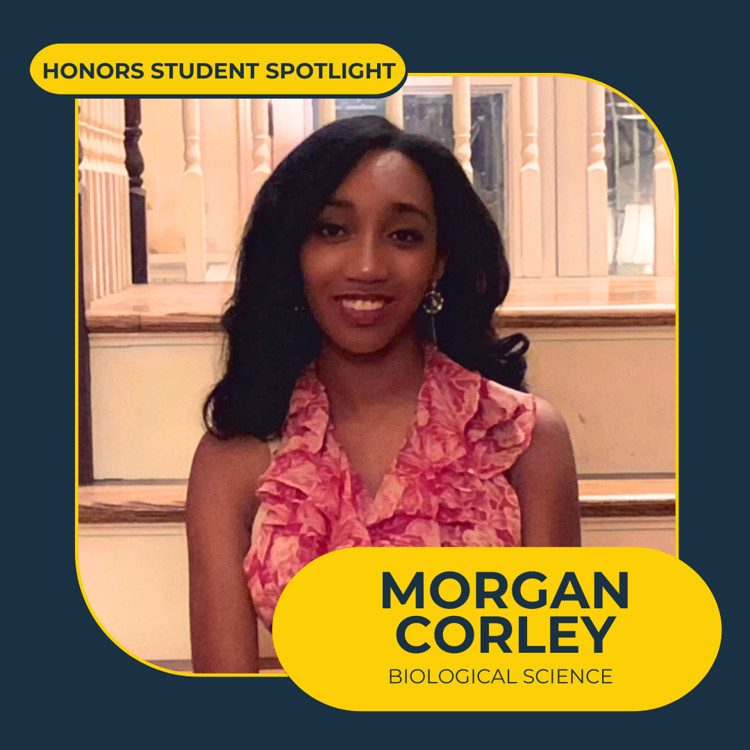 honors student Morgan Corley headshot