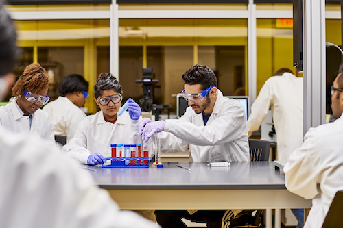 This is an image of students in a lab doing research.
