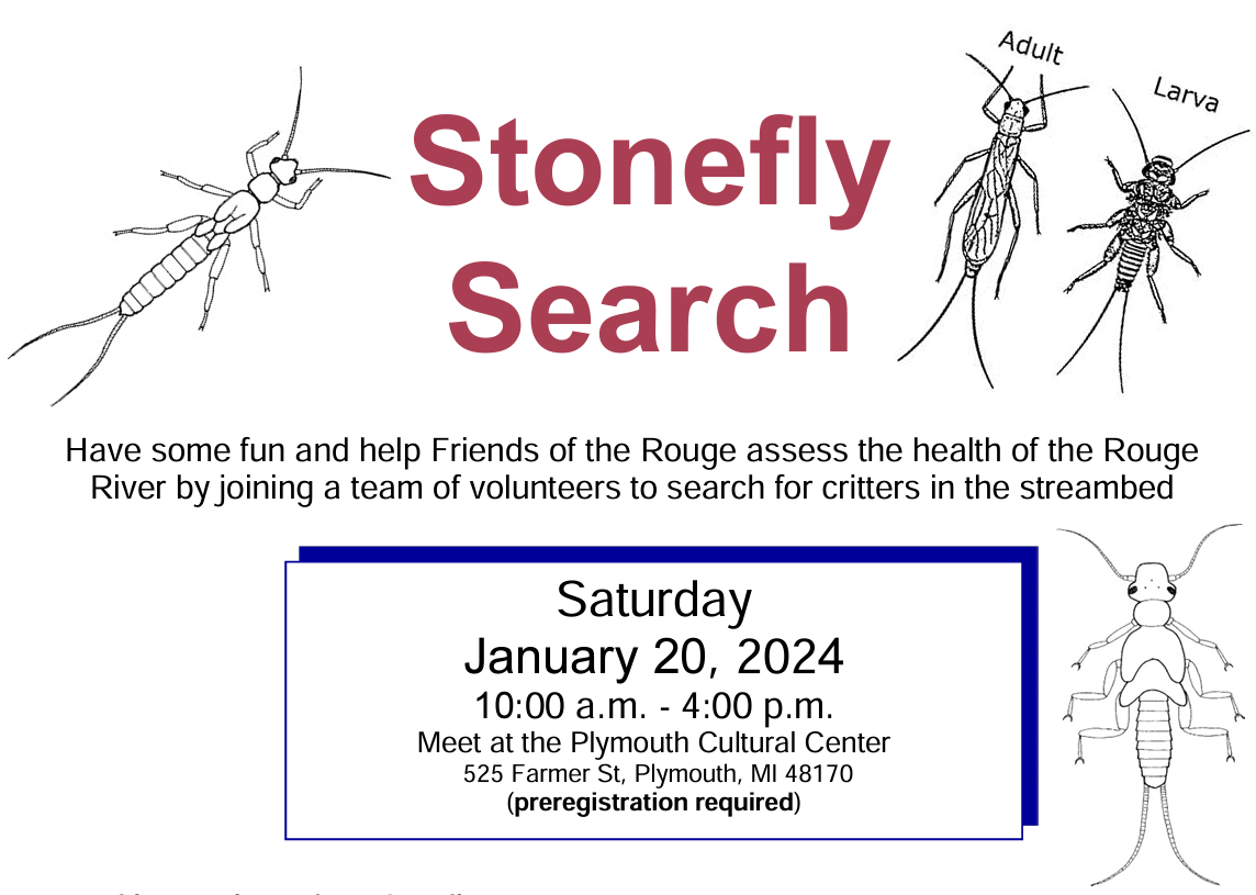 https://umdearborn.edu/sites/default/files/inline-images/Stonefly%20Search%20January%2020%202024.png