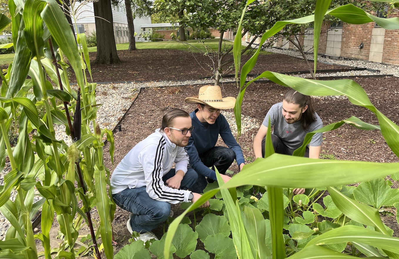 Students in Associate Professor of Chemistry Simona Marincean’s “Medicinal and Aromatic Plants” course spend Wednesday afternoons in the garden. 