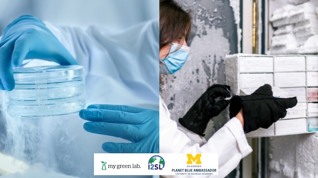 petri dish and female researcher taking samples out of frosty freezer
