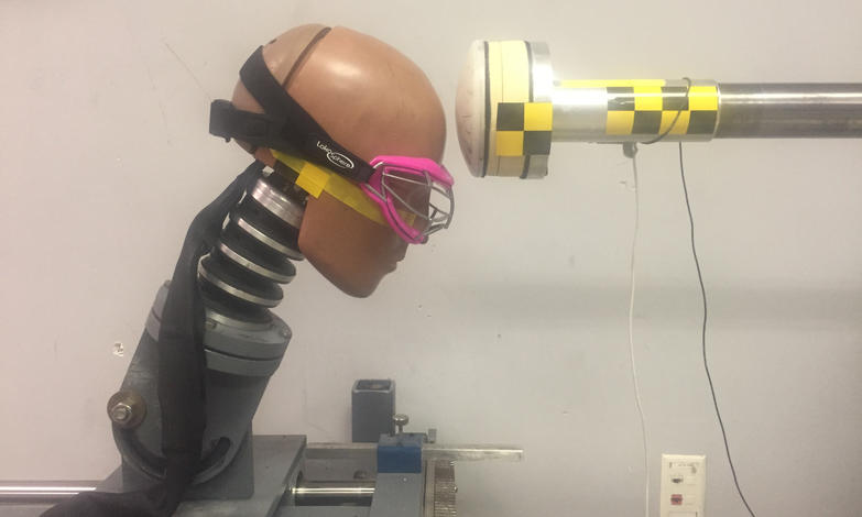 A crash test dummy head form, sporting the headband-mounted sensors.