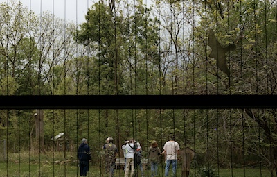 looking through a window with vertical blinds, multiple people stand gathered outside in front of green trees and nature trails