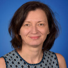 Associate Professor Simona Marincean