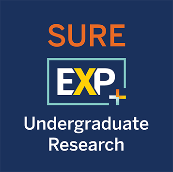 SURE/Experience Plus Undergraduate Research Program