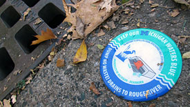 storm water badges are accompanying all the sewers on campus