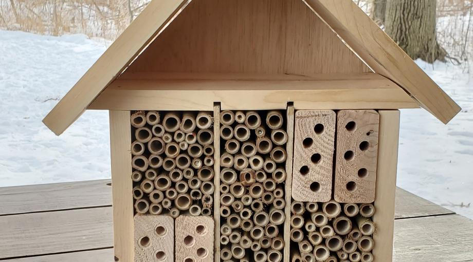 Horizontal Insect Hotel