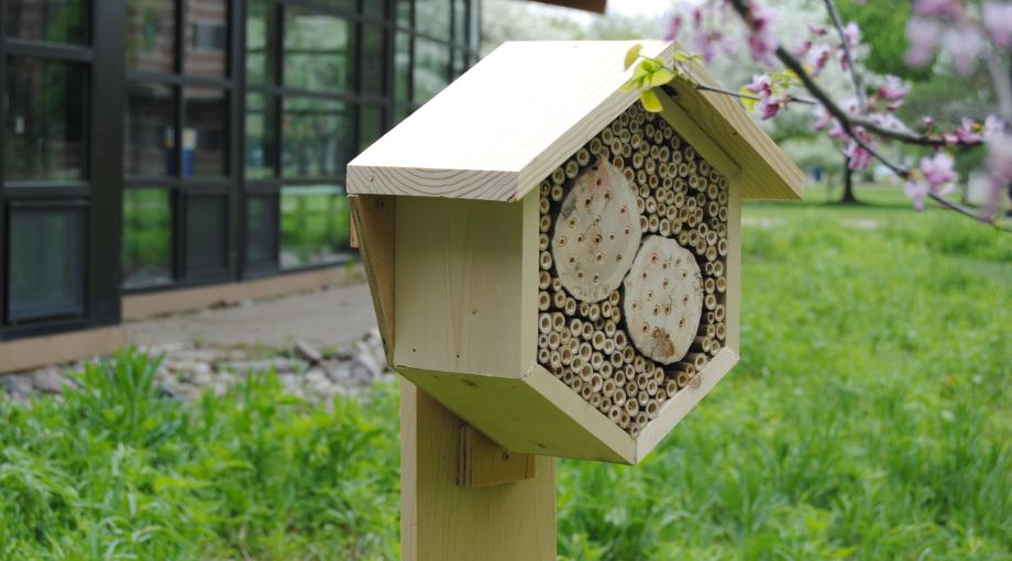 hexagonal insect hotel