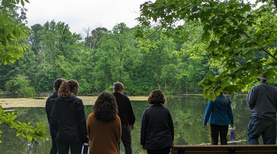 people looking out at a lake in UM-Dearborn's Environmental Study Area