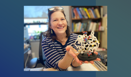 Photo of Professor Marilee Benore holding a 3D model of a protein structure. Photo/Sarah Tuxbury
