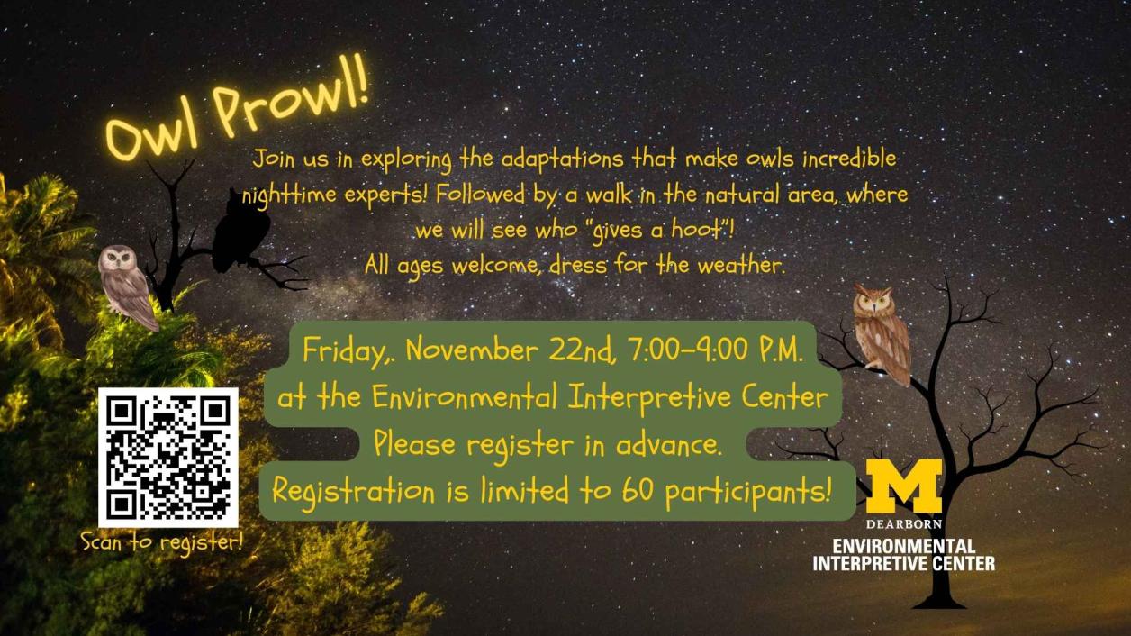 Owl prowl, depiction of the night sky with owl silhouettes, text overlay reads 'Join us in exploring the adaptations that make owls incredible nighttime experts! Followed by a walk in the nature area. All ages welcome.