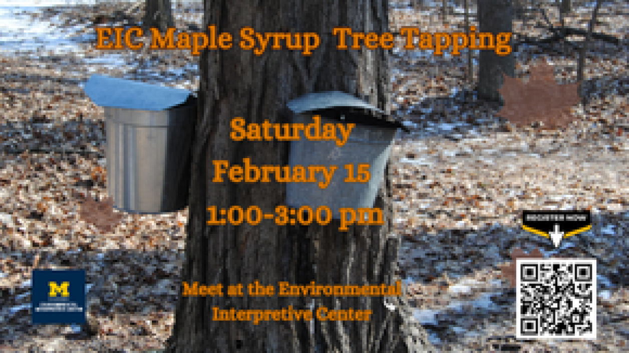 EIC Maple Tree Tapping Public Program Flyer