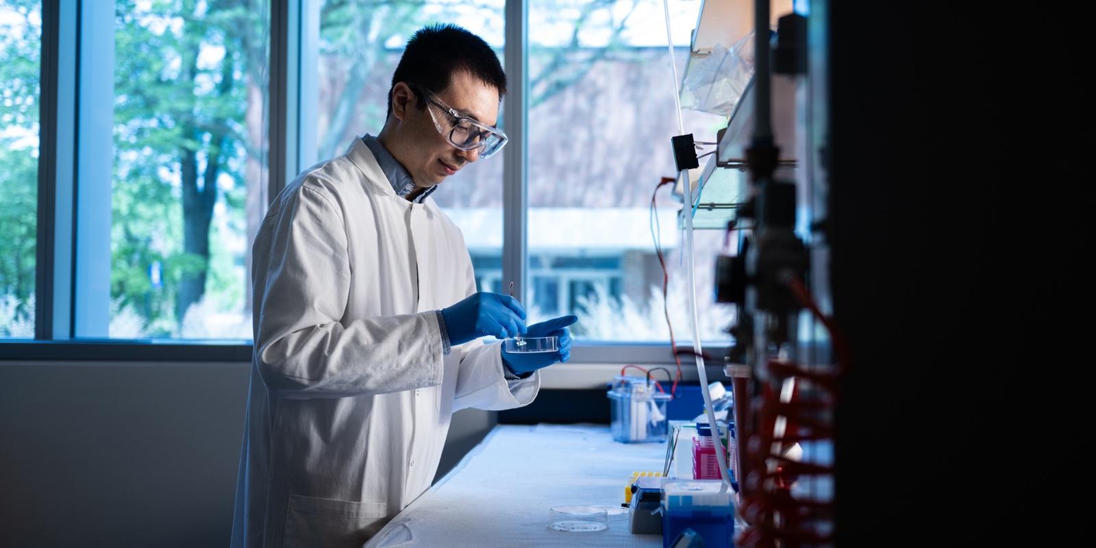 Assistant Professor Jie Fan works in his cancer research lab