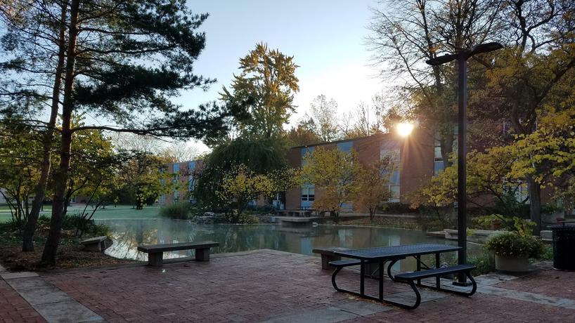 Chancellor's Pond in the Fall