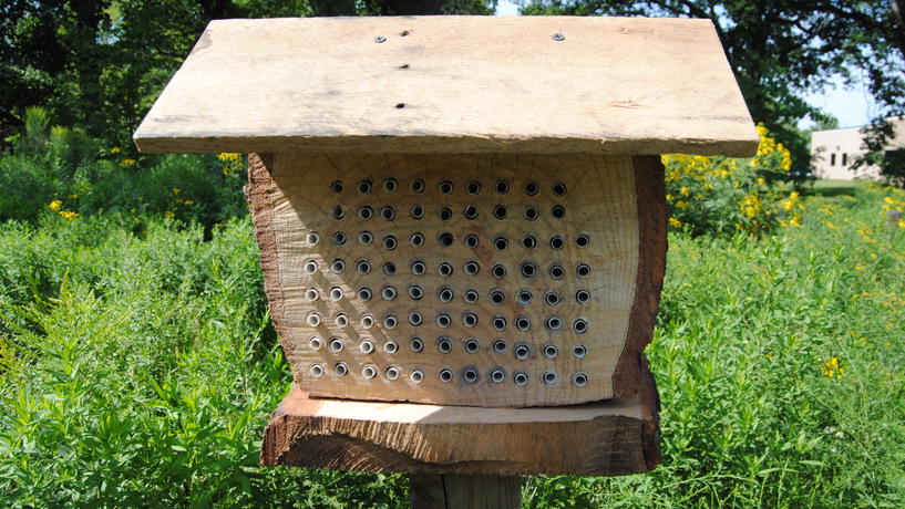 A simple insect hotel design
