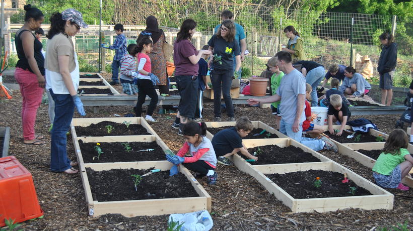 Children's gardening program