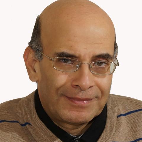 Mahmoud Abou-Nasr