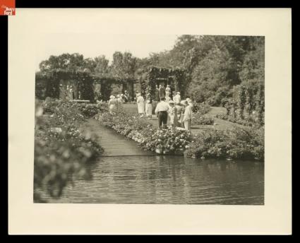 rose garden 1930