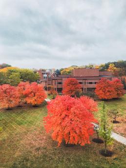 Photo overlooking campus during Autumn
